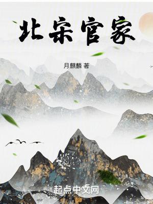 北宋官家 北宋官家