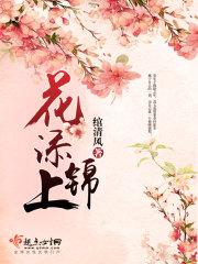 花添锦上 花添锦上
